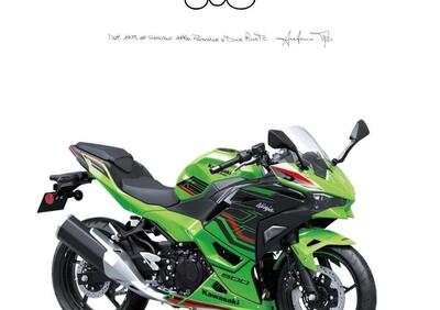 Kawasaki Ninja 500 SE (2024 - 25) - Annuncio 9560151