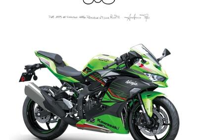 Kawasaki Ninja ZX-4RR (2024 - 25) - Annuncio 9560152