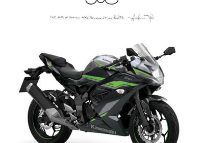 Kawasaki Ninja 125 (2021 - 24) - Annuncio 9560153