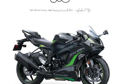 Kawasaki Ninja 636 ZX-6R (2024 - 25) - Annuncio 9560155