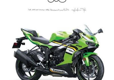 Kawasaki Ninja 636 ZX-6R (2024 - 25) - Annuncio 9560161