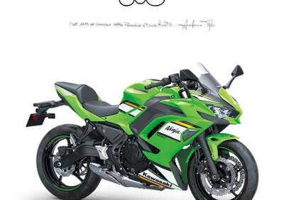 Kawasaki Ninja 650 (2021 - 24) - Annuncio 9560162