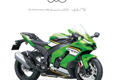 Kawasaki Ninja 1000 ZX-10R (2021 - 25) - Annuncio 9560163