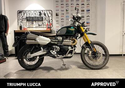 Triumph Scrambler 1200 Steve McQueen Edition (2021 - 22) - Annuncio 9562542