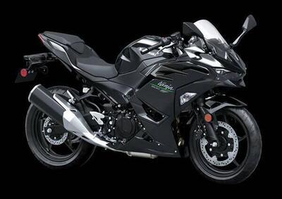 Kawasaki Ninja 500 (2024 - 25) - Annuncio 9564972