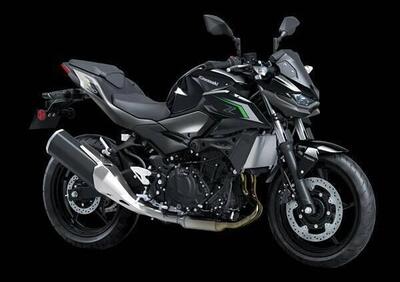 Kawasaki Z 500 (2024 - 25) - Annuncio 9565064