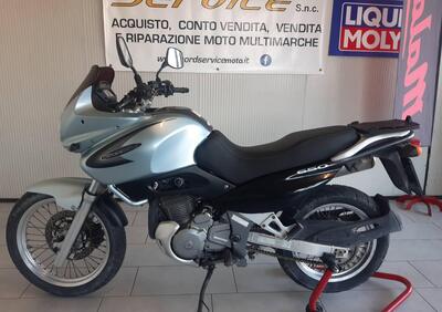 Suzuki XF 650 Freewind (1997 - 03) - Annuncio 9571318