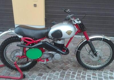 Maico Maico 250 cross 1957 - Annuncio 9573394