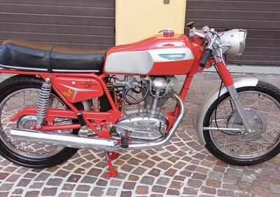 Ducati  DUCATI 250 MARK3 1969 - Annuncio 9573411