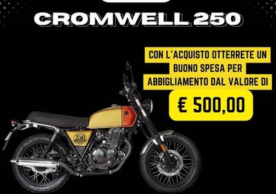 Brixton Motorcycles Cromwell 250 (2021 - 24) - Annuncio 9389892