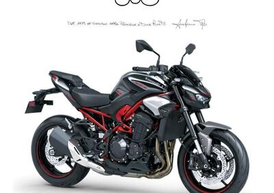 Kawasaki Z 900 (2021 - 24) - Annuncio 9574259