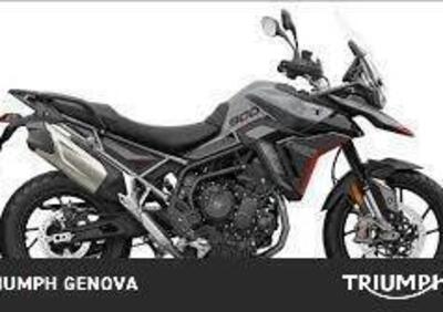 Triumph Tiger 900 GT Pro (2024) - Annuncio 9554804