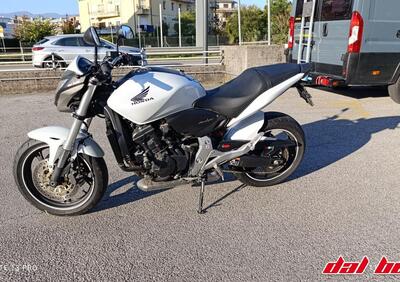 Honda Hornet 600 (2011 - 13) - Annuncio 9578077