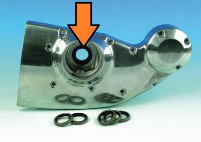 Paraolio cam per Sportster dal 1971 al 2003 rif OE  - Annuncio 8552826