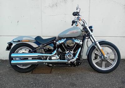 Harley-Davidson Softail Standard (2021 - 24) - Annuncio 9579672