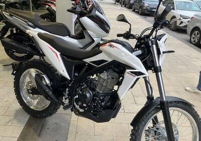 Betamotor Alp 4.0 (2024) - Annuncio 9581609