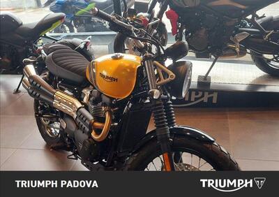 Triumph Scrambler 900 (2023 - 24) - Annuncio 9582648