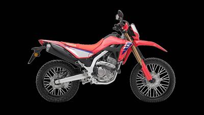 Honda CRF 300L (2025 - 26) nuova