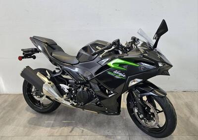 Kawasaki Ninja 500 (2024 - 25) - Annuncio 9605547