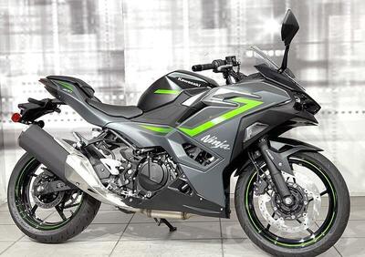 Kawasaki Ninja 500 SE (2024 - 25) - Annuncio 9409071