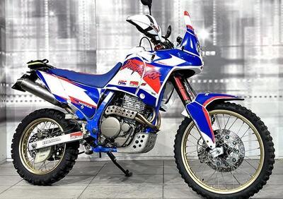 Honda NX 650 Dominator (1988 - 90) - Annuncio 9614414