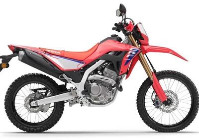 Honda CRF 300 L (2021 - 24) - Annuncio 9616058