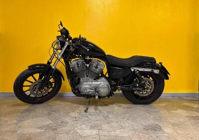 Harley-Davidson 883 Standard (2001 - 05) - XL 883 - Annuncio 9617528