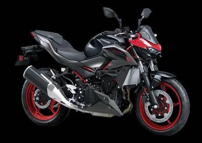 Kawasaki Z 500 SE (2024 - 25) - Annuncio 9620824