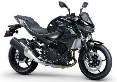 Kawasaki Z 500 (2024 - 25) - Annuncio 9623149