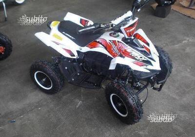  Altre moto o tipologie Quad - Annuncio 6450416