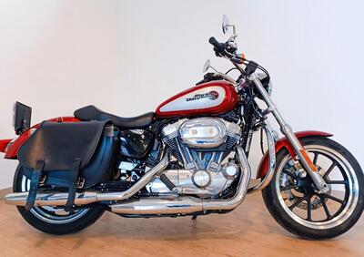 Harley-Davidson 883 SuperLow (2010 - 16) - XL 883L - Annuncio 9631864
