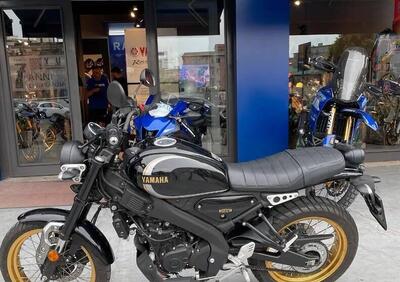 Yamaha XSR 125 Legacy (2022 - 24) - Annuncio 9641005
