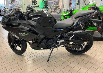 Kawasaki Ninja 500 (2024 - 25) - Annuncio 9641132