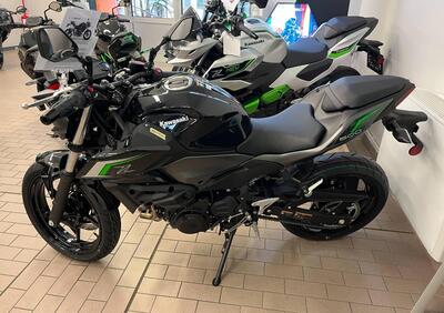 Kawasaki Z 500 (2024 - 25) - Annuncio 9608621