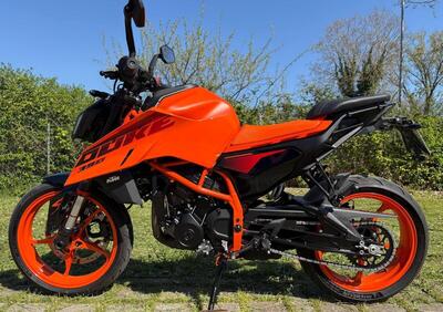 KTM 390 Duke (2024 - 25) - Annuncio 9683301