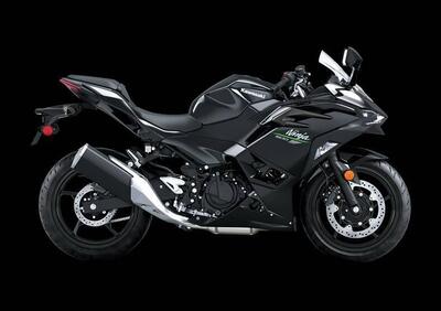 Kawasaki Ninja 500 (2024 - 25) - Annuncio 9683851