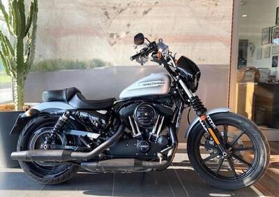 Harley-Davidson 1200 Iron (2018 - 20) - XL1200N - Annuncio 9684582