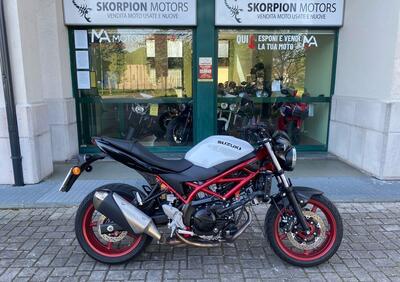 Suzuki SV650 (2021 - 24) - Annuncio 9685147