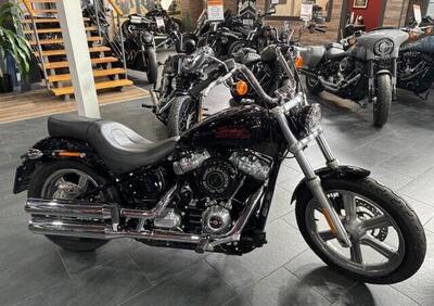 Harley-Davidson Softail Standard (2021 - 25) - Annuncio 9689003
