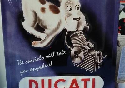 INSEGNA METAALLO CUCCIOLO DUCATI - Annuncio 9689734