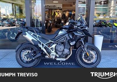 Triumph Tiger 1200 GT Pro (2024 - 25) - Annuncio 9690640