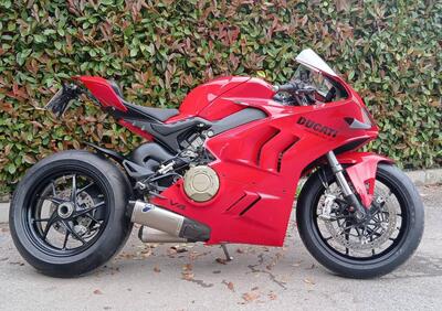 Ducati Panigale V4 (2022 - 24) - Annuncio 9694089