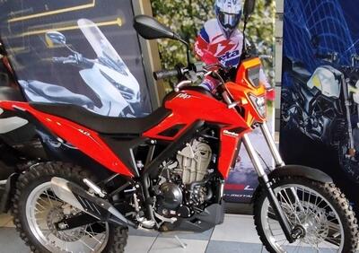 Betamotor Alp 4.0 (2024 - 25) - Annuncio 9693524