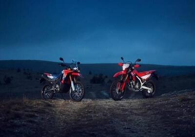 Honda CRF 300 L (2025) - Annuncio 9697678