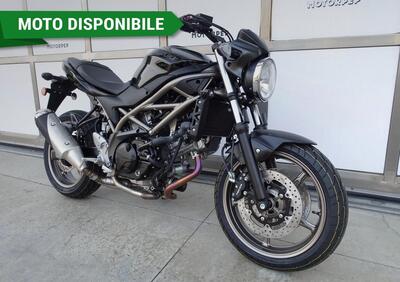 Suzuki SV650 (2021 - 24) - Annuncio 9698531
