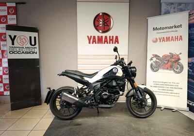 Benelli Leoncino 250 (2021 - 25) - Annuncio 9580837