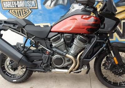 Harley-Davidson Pan America 1250 Special (2020 - 25) - Annuncio 9696053
