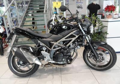 Suzuki SV650 (2021 - 24) - Annuncio 9700180