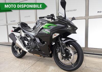 Kawasaki Ninja 500 (2024 - 25) - Annuncio 9700397