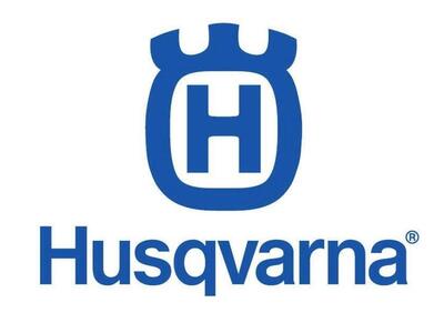 Husqvarna Svartpilen 125 (2024 - 25) - Annuncio 9701352